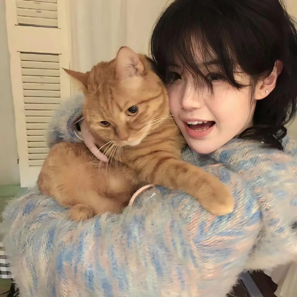 猫和老鼠：西部大冒险